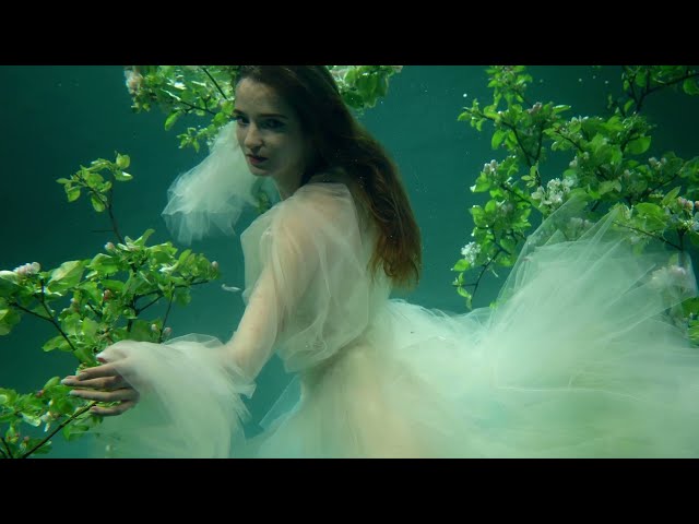 Underwater Dance | 4K Nature Relaxation Videos Sea Oleena Horses