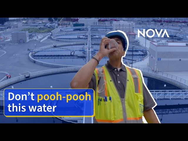 How Sewage Becomes Drinking Water