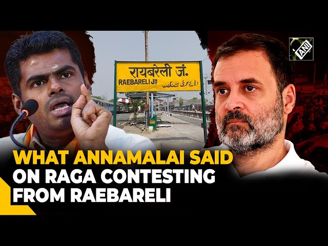 Moral bankruptcy of Congress: Annamalai slams Rahul Gandhi over contesting from Raebareli LS seat