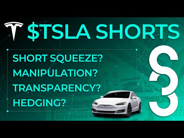 Are Short Sellers Manipulating TSLA? Tesla Short Selling Discussion w/ Ihor Dusaniwsky (S3 Partners)