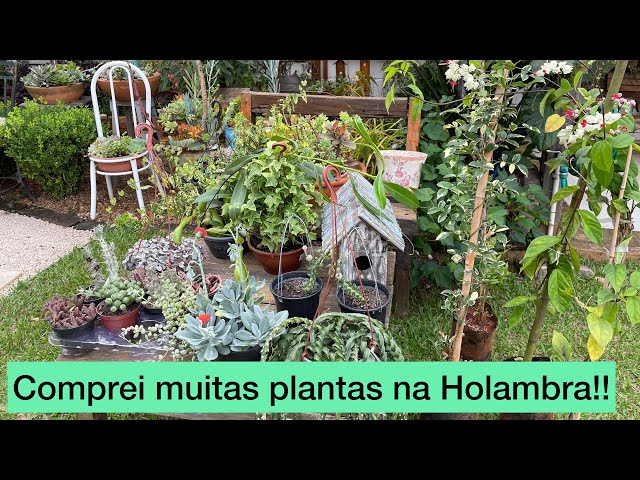 # Mostrei um pouco do Ceaflor na Holambra # comprei várias plantas para o meu jardim #