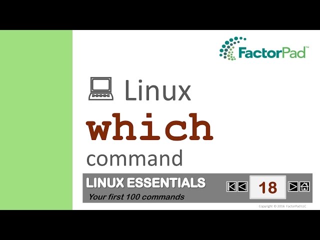 Linux which command summary with examples