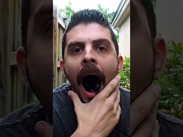 Man Reveals Scorpion in Mouth!! 😱