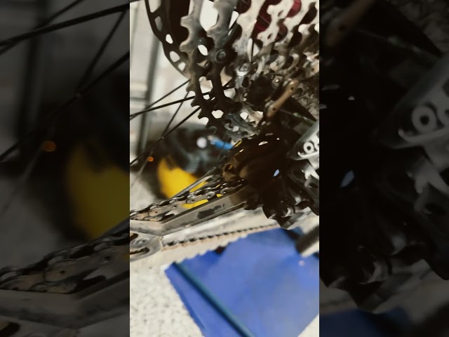 How does this even happen. Chain above the rear derailleur ￼