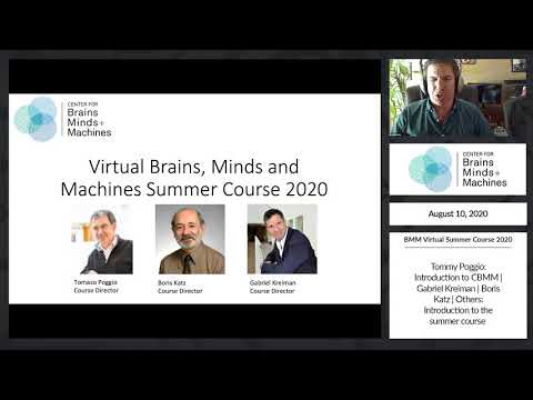 BMM Virtual Summer Course 2020