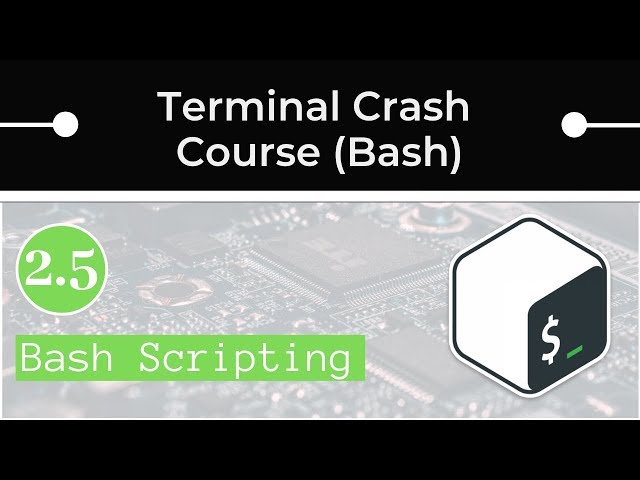 Bash Scripting Basics
