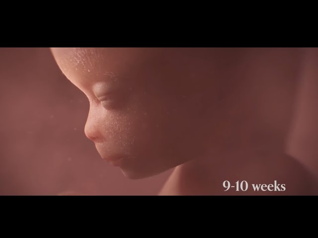 Abortion. (documentary)