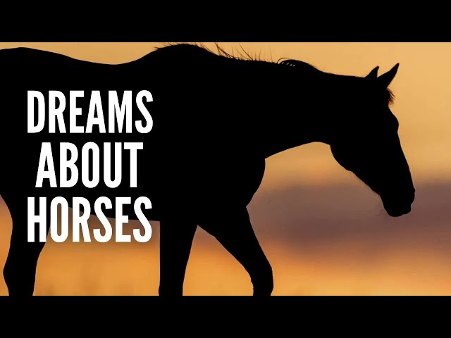 15 Horse Dreams and Their Meaning