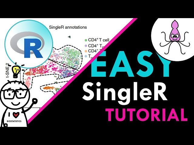 SingleR EASY TUTORIAL: step-by-step cell type annotation in R