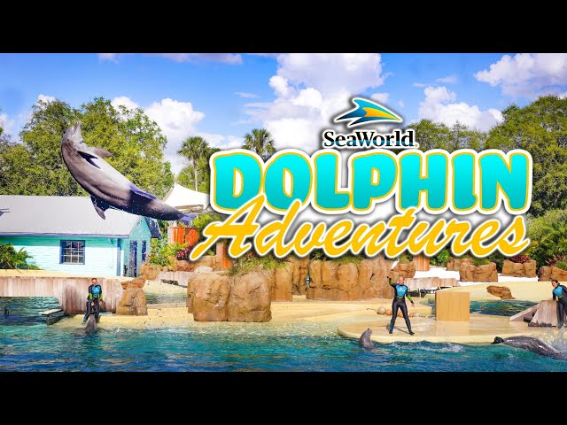 Dolphin Adventures (Full Show) | SeaWorld Orlando (2022)
