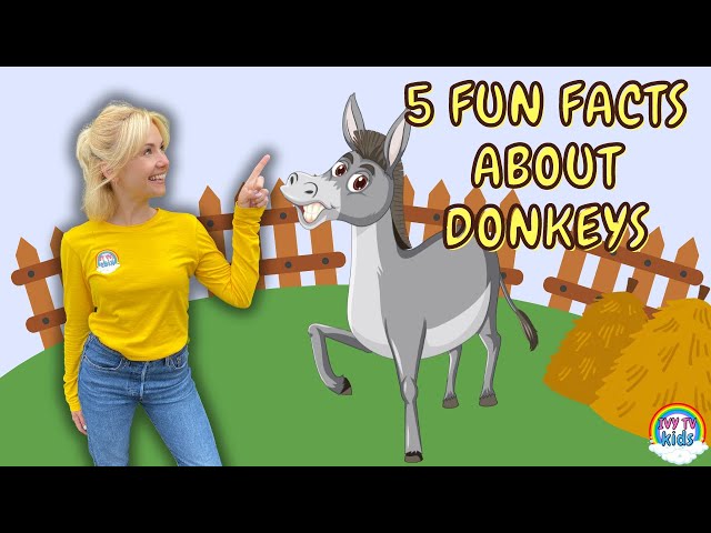 Fun Facts About Donkeys | Fun Facts On The Farm | IVY TV KIDS!