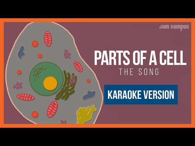 PARTS OF A CELL SONG (KARAOKE VERSION)