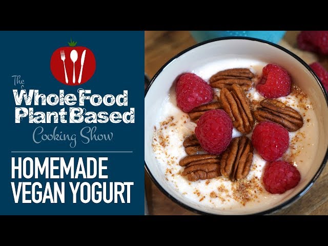 Easy Plant Based Vegan Yogurt