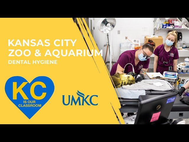 The Kansas City Zoo & Aquarium is Our Classroom