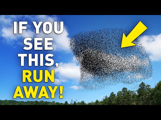 In Case You See These Rare Situations in the Sky, You Might Need to Run Away