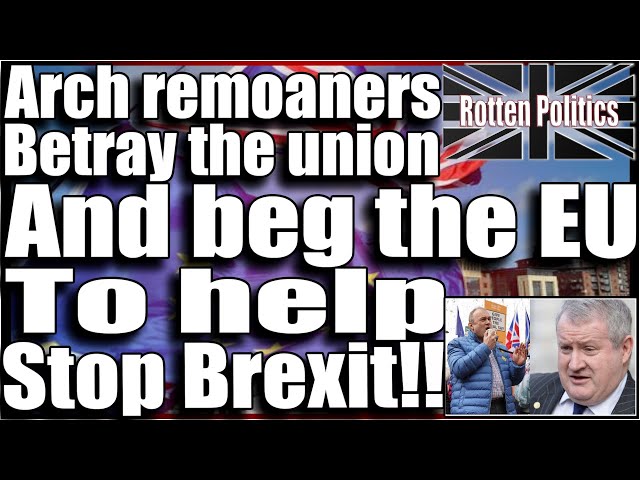 Remoaning MPs beg the EU to help stop brexit!!!