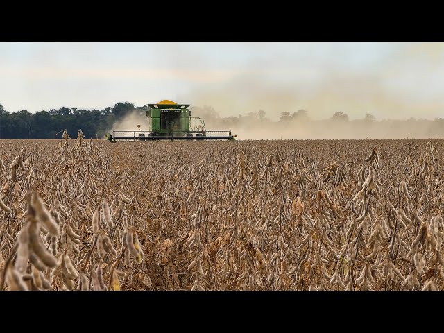 2023 Soybean Harvest Update