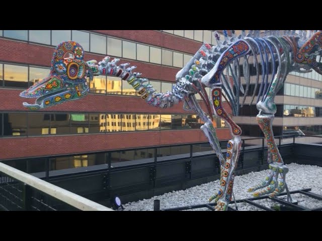 It's a DC thing: Dinosaur skeleton on top of DC hotel