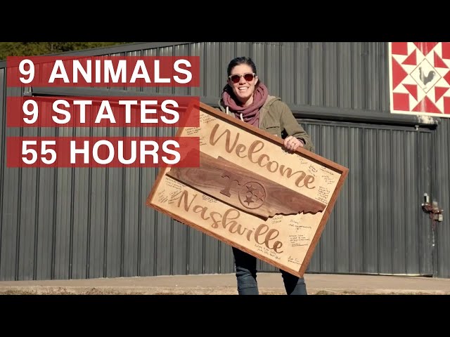 Moving an entire farm across the country // Homesteading