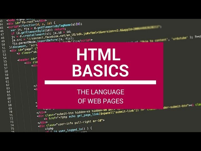 HTML Basics: The Language of Web Pages