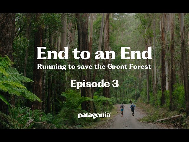 End to an End | Running to save the Great Forest - Episode 3