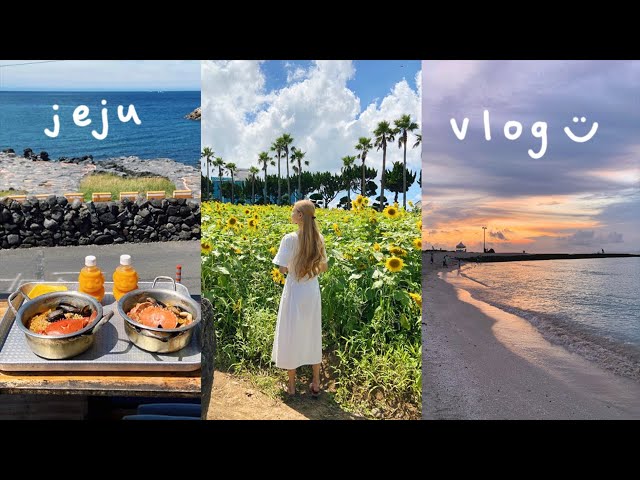 jeju island vlog 🌴 seafood ramen, sunflower fields, beach cafes, souvenir shops, beautiful sunsets