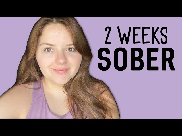 2 Weeks Sober from Alcohol - Daily Vlog