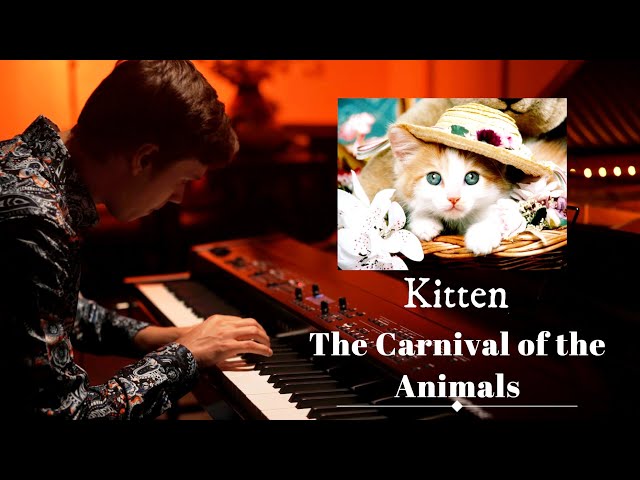 Kitten! - FUN 1 minute Piano Piece (+Sheet Music)