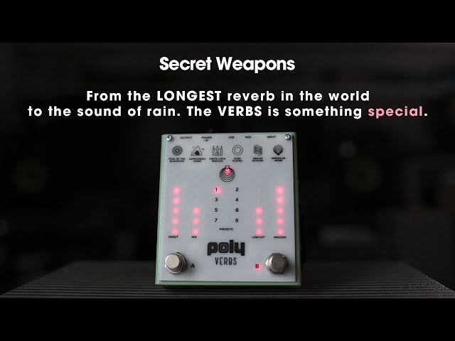 Incredible reverbs from REAL places and objects! Poly Verbs | Secret Weapons Demo & Review