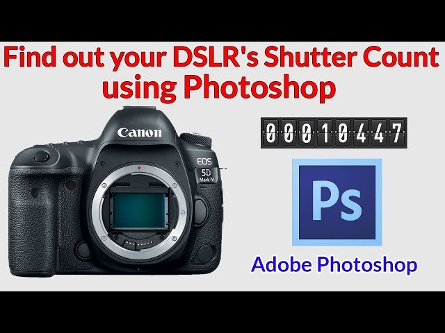 How to Check a DSLR's Shutter Count using Photoshop. Works for Nikon, Canon, Pentax, Samsung etc.