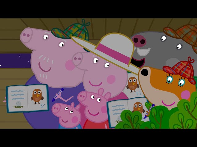 Peppa Pig Meets An Owl 🐷 🦉 Playtime With Peppa