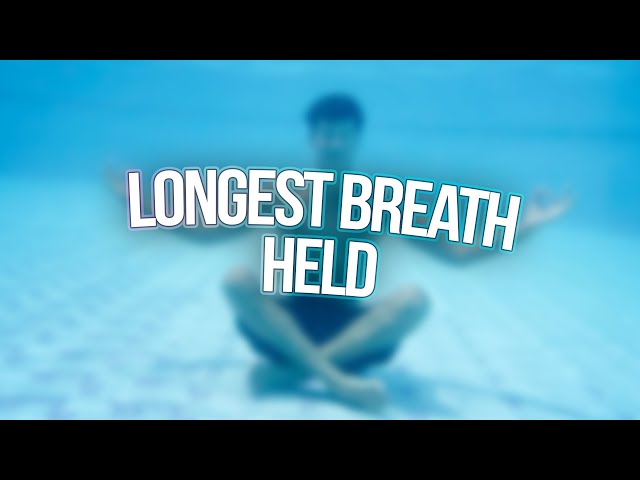 the longest breath held