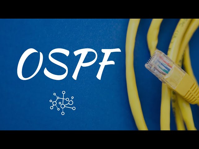OSPF in Junos | Introduction to Juniper and JNCIA Part 17