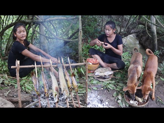 Survival cooking in forest - Catch fish and Grilled fish for dinner Eating delicious with dog