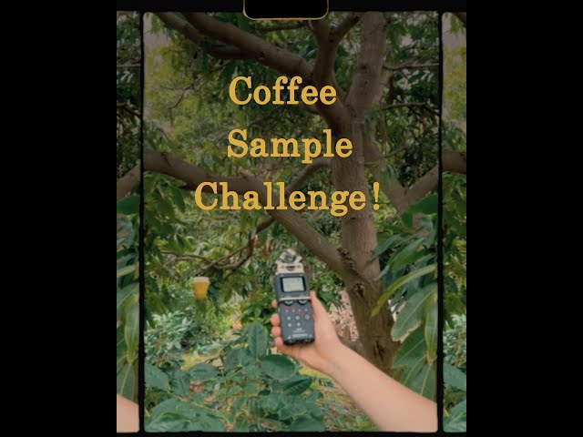 We made a song out of coffee plantation sounds!