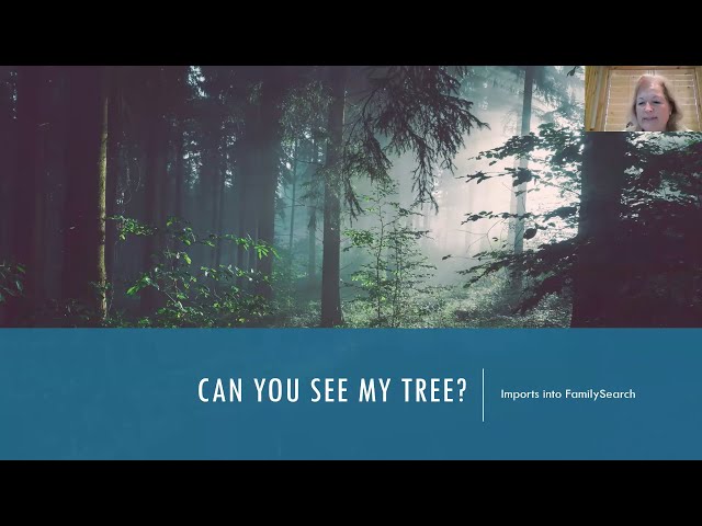 Can You See My Tree? (Imports into FamilySearch) (for Latter-day Saints) - Carol Hill (30 Apr 2023)