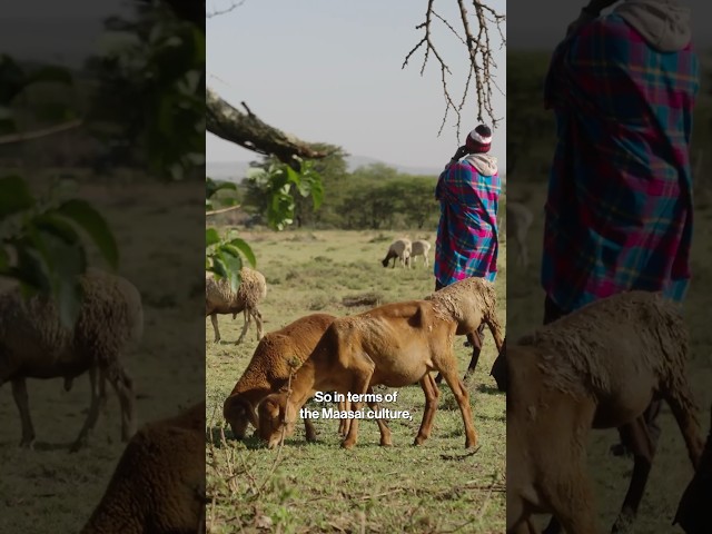 Using Data to Conserve Wildlife in Kenya