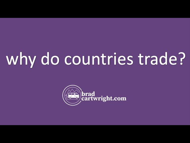 Why Do Countries Trade? | Introduction & Overview | The Global Economy | IB Economics Exam Review