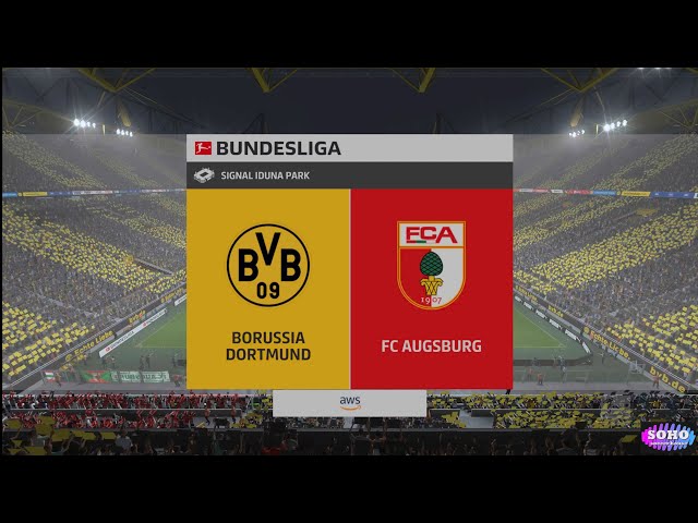 Borussia Dortmund vs FC Augsburg (HIGHLIGHTS)