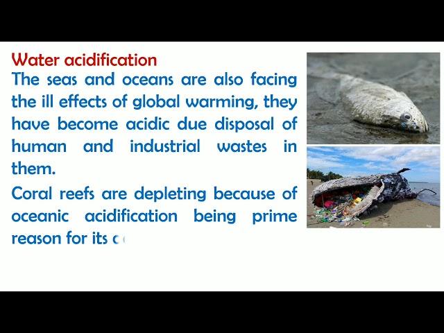 Essay on effects of Global Warming in English | Environmental Science | Smart Learning Tube