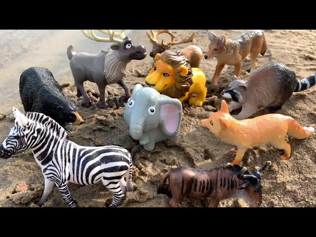 Tub of Wild Zoo Animal Toys for Kids