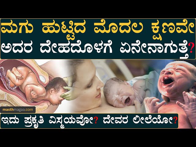 ಜನ್ಮ ಪಡೆದ ಪ್ರತಿಯೊಬ್ಬರೂ ನೋಡಲೇಬೇಕಾದ ವರದಿ! | How baby adapts to life outside the womb? | Masth Magaa
