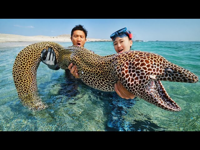 Oman caught giant moray eel, body length of 2 meters ferocious like a python！