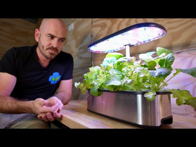 The Perfect Table Top Hydroponic System? LetPot Review