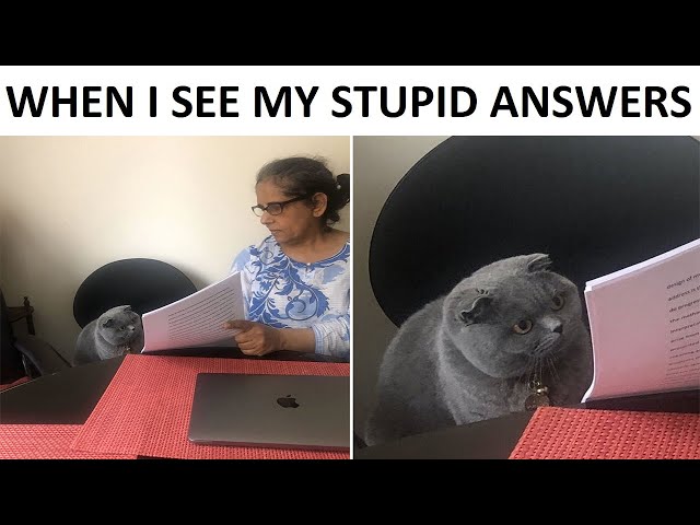 School Memes To Watch During Online Class