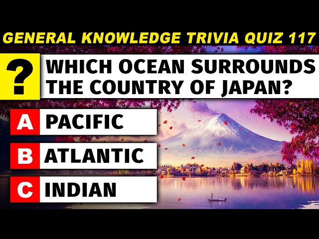 How Much Do You REALLY Know - Ultimate Trivia Quiz Game Part 117