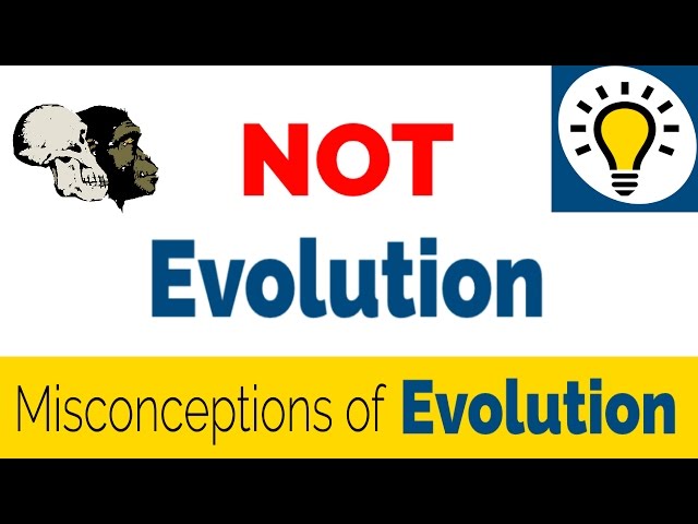 Confusing Evolution with Abiogenesis and The Big Bang Theory - Common Misconceptions of Evolution