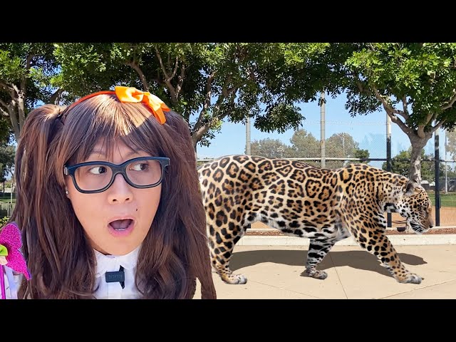 Big Wild Cats Adventure Stories For Kids | Soso Turns Her Animal Toys To Real Life!