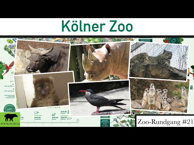 Kölner Zoo 2022 | Zoo-Rundgang #21
