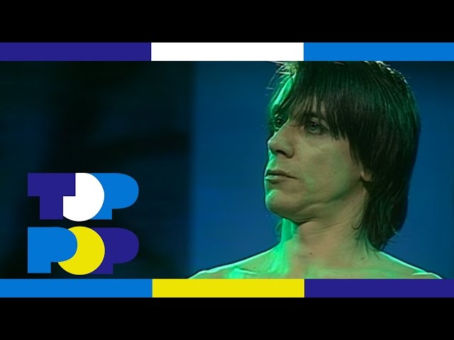 Iggy Pop - Lust For Life • TopPop